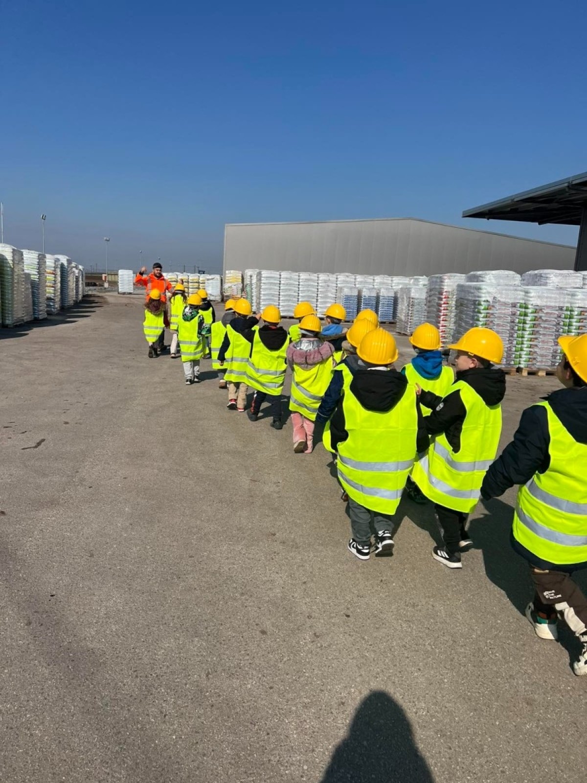 IMG-ed3e04287d4bb1f14c284ea5f9091947-V