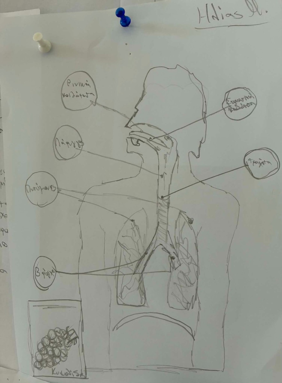 5ce315a4-ef21-4c8a-9813-d7b5b8d86969