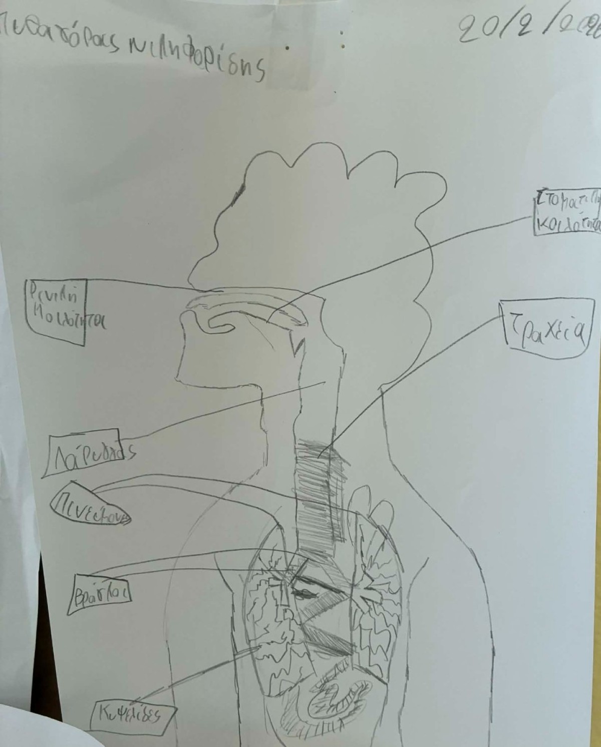 faf44bdf-23a9-421c-bd36-356d606f998a